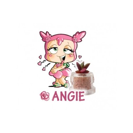 Angie 