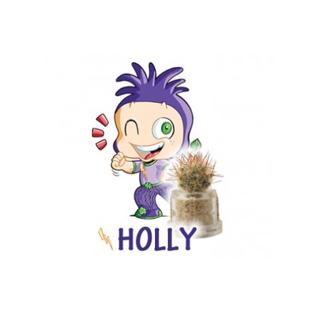 Holly - Successo